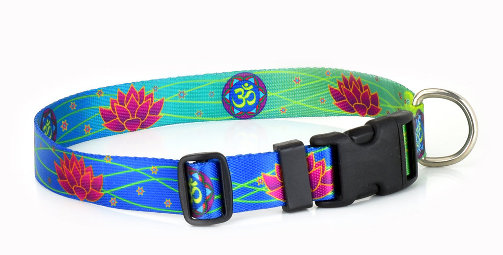 Yoga Key West Dog Collars and Yoga on the Beach Wagadoodle