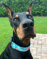 Tropical Christmas Blue Personalized Dog Collar