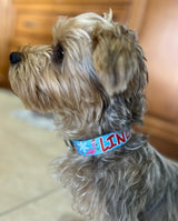 Tropical Christmas Blue Personalized Dog Collar