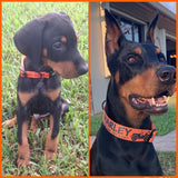 Jeeps Off-Road Orange Personalized Dog Collar