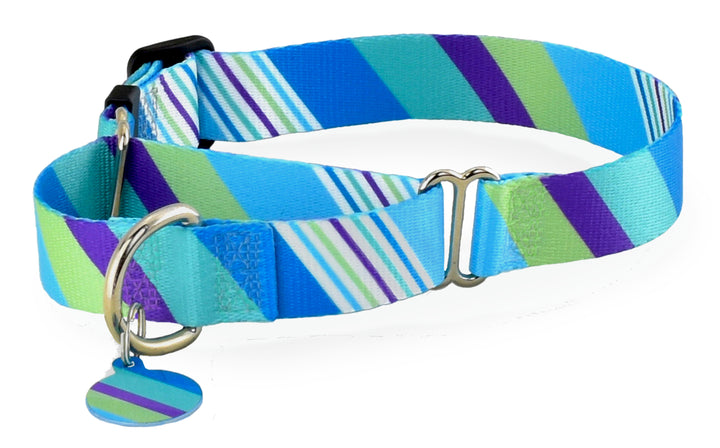 Seaside Stripes Blue Hues Ocean Martingale Dog Collar