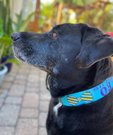 Bow Ties on Blue Personalized Dog Collar
