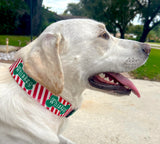 Bones & Stripes Christmas Dog Collar Personalized