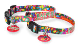 Christmas Lights Personalized Dog Collar