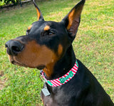Bones & Stripes Christmas Dog Collar Personalized