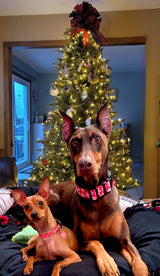 Christmas Snowflakes on Pink Personalized