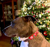 Christmas Trees and Snowflakes Red Personalized Dog Collar