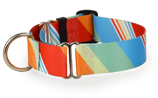 Seaside Stripes Ocean Personalized Martingale Dog Collar