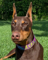 Dolphins and Frangipani Flowers Purple Personalized Dog Collar