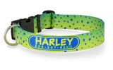 Mahi Flash Martingale Dog Collar