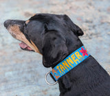 Dolphins and Frangipani Flowers Blue Personalized Dog Collar