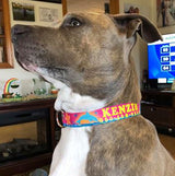 Dolphins and Frangipani Flowers Pink Personalized Dog Collar