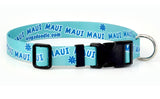 Autograph Personalized Dog Collar Aqua