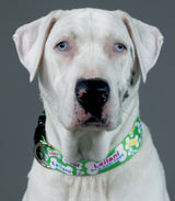 Lime Green Signature Bones Personalized Dog Collar
