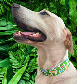 Lime Green Signature Bones Personalized Dog Collar