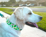 Lime Green Signature Bones Personalized Dog Collar