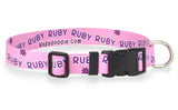 Autograph Personalized Dog Collar
