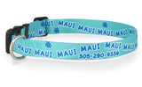 Autograph Personalized Dog Collar Aqua