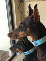 Jeeps Off-Road Blue Personalized Dog Collar