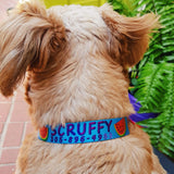 Watermelon Personalized Dog Collar