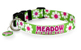 Daisy with Pink and Lime Personalized Dog Collar