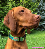 Signature-Autograph Personalized Dog Collar Lime Green