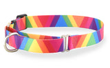Rainbow Viscaya Martingale Dog Collar