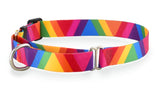 Rainbow Viscaya Personalized Martingale Dog Collar