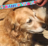 Frangipani Turquiose Personalized Dog Collar