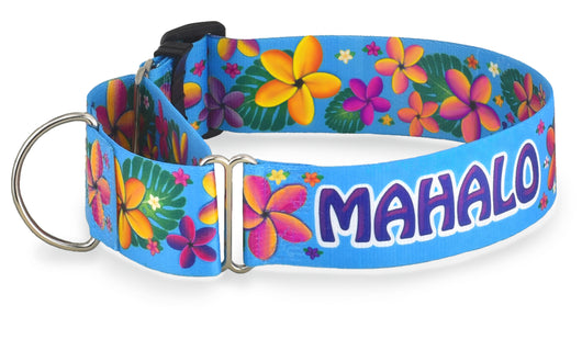 Frangipani Turquoise Personalized Martingale
