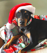 Bones & Stripes Christmas Dog Collar Personalized