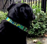 Spyro Gyra Chartreuse Personalized Dog Collar