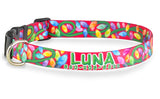 Christmas Lights Personalized Dog Collar