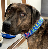 Day of the Dead Sugar Skulls Blue Personalized Dog Collar