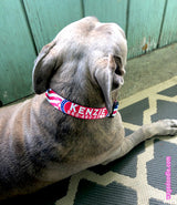 American Flag Personalized Dog Collar