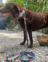 Frangipani Turquiose Personalized Dog Collar