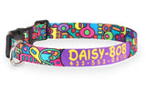 Mid-Century Modern Personalized Dog Collar