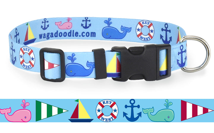 Seashore Blue Dog Collar