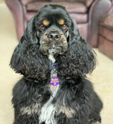 Sea Turtles on Purple Personalized Dog Collar