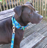 Sea Turtles Blue Personalized Martingale