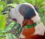 Daisy with Pink and Lime Personalized Dog Collar