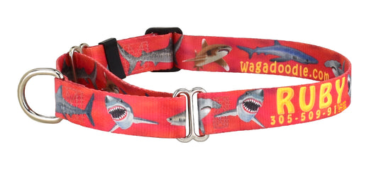 Great White Shark & Tiger Sharks on Red Personalized