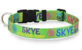 Signature-Autograph Personalized Dog Collar Lime Green