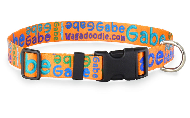 Signature-Autograph Personalized Dog Collar Orange