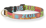 Signature-Autograph Personalized Dog Collar Earth