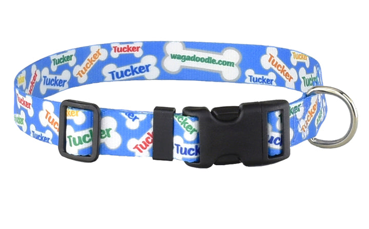 Turquoise Signature Bones Personalized Dog Collar
