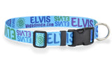 Signature-Autograph Personalized Dog Collar Turquoise
