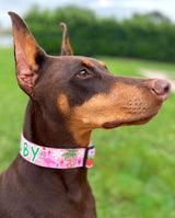 Tropical Christmas Pink Personalized Dog Collar