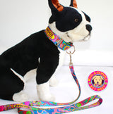 Dreamtime Dog Collar