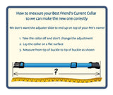 Plumeria Purple on Yellow Personalized Dog Collar